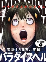 aa视频漫画：海贼王